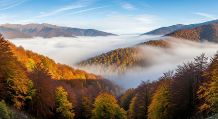 Foggy autumn morning in the Carpathian mountains, Ukraine