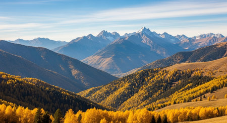 panoramic view of autumn alpine landscape with yellow aspens and snowcapped mountain peaks
