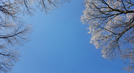 Scenic Floral Backgroundの写真素材