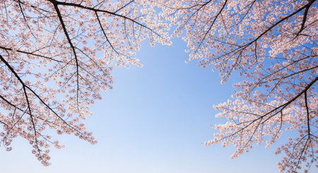 Scenic Floral Background