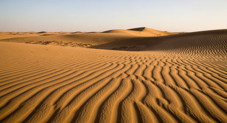 Sand dunes in the Sahara desert, Merzouga, Morocco