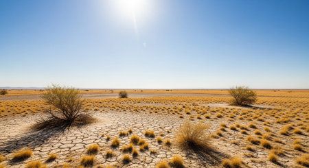 Panoramic view of the dry desert under the blue sky.
