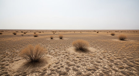Wildlife Animal and Desert Landscape Photo Collection Displayed in Organized Thumbnail Grid Gallery.