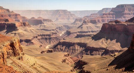 Wildlife Animal and Desert Landscape Photo Collection Displayed in Organized Thumbnail Grid Gallery.