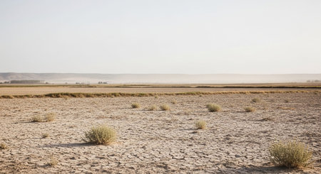 Wildlife Animal and Desert Landscape Photo Collection Displayed in Organized Thumbnail Grid Gallery.