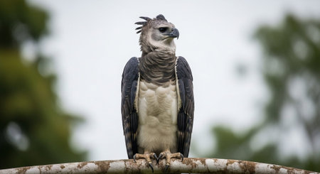 Wildlife Animal and Desert Landscape Photo Collection Displayed in Organized Thumbnail Grid Gallery.