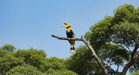 Wildlife Animal and Desert Landscape Photo Collection Displayed in Organized Thumbnail Grid Gallery.