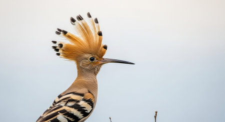 Wildlife Animal and Desert Landscape Photo Collection Displayed in Organized Thumbnail Grid Gallery.