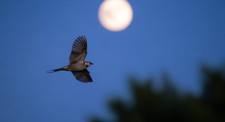 Wildlife Animal and Desert Landscape Photo Collection Displayed in Organized Thumbnail Grid Gallery.