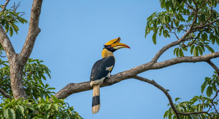 Wildlife Animal and Desert Landscape Photo Collection Displayed in Organized Thumbnail Grid Gallery.