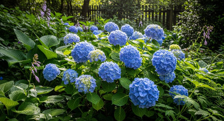 Nature Growth and Blooming Flowers Collection â€“ Seedlings, Lotus Water Lilies, Roses,...