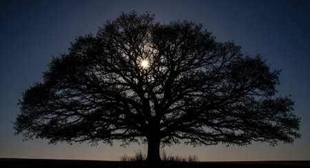 Majestic Trees and Scenic Nature Landscapes in All Seasons with Fantasy and Neon Light Concepts.