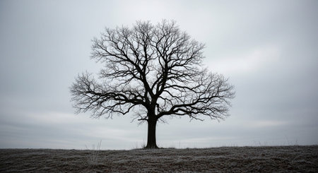 Majestic Trees and Scenic Nature Landscapes in All Seasons with Fantasy and Neon Light Concepts.