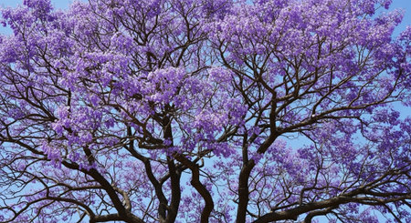Majestic Trees and Scenic Nature Landscapes in All Seasons with Fantasy and Neon Light Concepts.