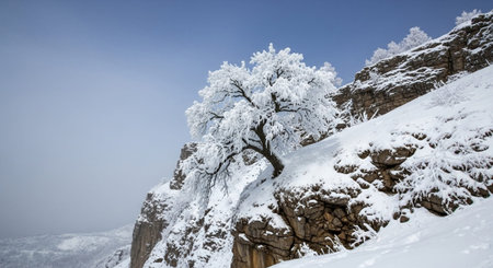 Majestic Trees and Scenic Nature Landscapes in All Seasons with Fantasy and Neon Light Concepts.