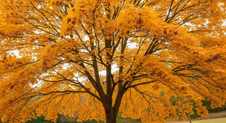 Majestic Trees and Scenic Nature Landscapes in All Seasons with Fantasy and Neon Light Concepts.