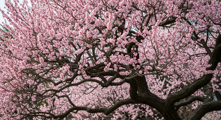 Majestic Trees and Scenic Nature Landscapes in All Seasons with Fantasy and Neon Light Concepts.