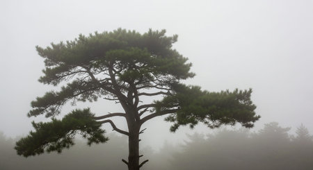 Majestic Trees and Scenic Nature Landscapes in All Seasons with Fantasy and Neon Light Concepts.