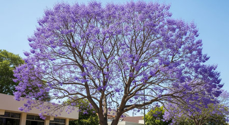 Majestic Trees and Scenic Nature Landscapes in All Seasons with Fantasy and Neon Light Concepts.