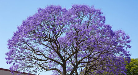 Majestic Trees and Scenic Nature Landscapes in All Seasons with Fantasy and Neon Light Concepts.