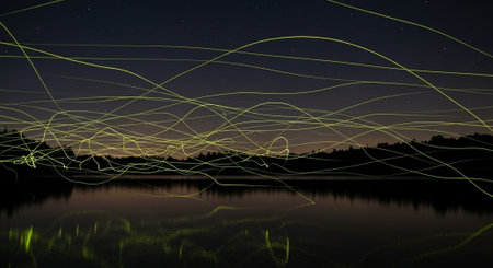 Macro Insect Photography Collection â Bees, Beetles, Spiders, Honeycomb, Dragonflies, Coral Reef and Wildlife Nature Backgrounds.の写真素材