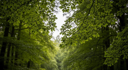 Organic Healthy Food, Fresh Fruits and Vegetables, Farm Animals and Scenic Countryside Landscape Collection.の写真素材