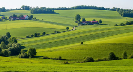 Organic Healthy Food, Fresh Fruits and Vegetables, Farm Animals and Scenic Countryside Landscape...