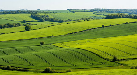 Organic Healthy Food, Fresh Fruits and Vegetables, Farm Animals and Scenic Countryside Landscape...