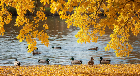 Traditional Farm Animals Grazing in Green Pasture at Sunset, Rural Countryside Landscape.の写真素材