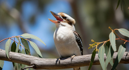 Wild Animals in Natural Habitat â€“ Wildlife Photography Collection in Forest, Savannah, Snow...
