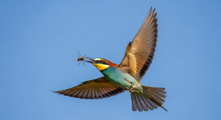 Wild Animals in Natural Habitat â€“ Wildlife Photography Collection in Forest, Savannah, Snow...