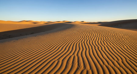 Beautiful Nature Landscapes and Floral Background Collection.の写真素材