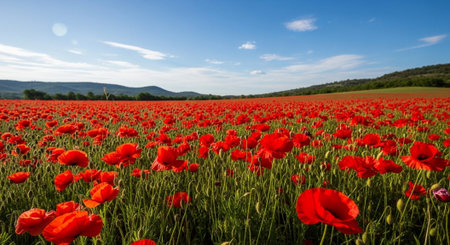 Beautiful Nature Landscapes and Floral Background Collection.