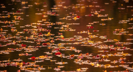 Beautiful Nature Landscapes and Floral Background Collection.