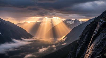 Beautiful Nature Landscapes and Floral Background Collection.