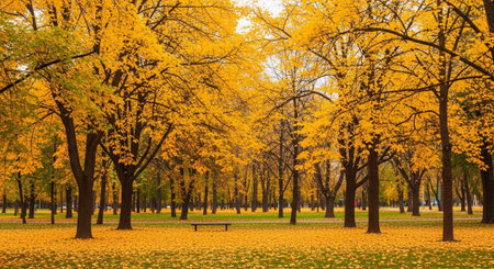 Beautiful Nature Landscapes and Floral Background Collection.