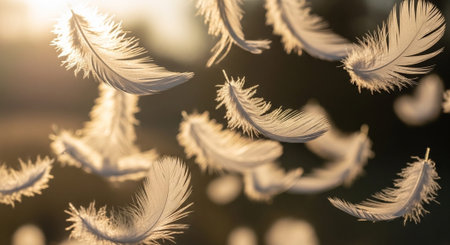 Atmospheric Mood and Emotional Concept Background Collection.の写真素材