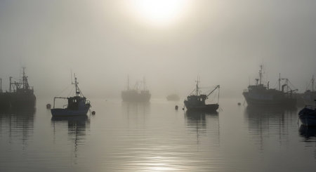 Atmospheric Mood and Emotional Concept Background Collection.