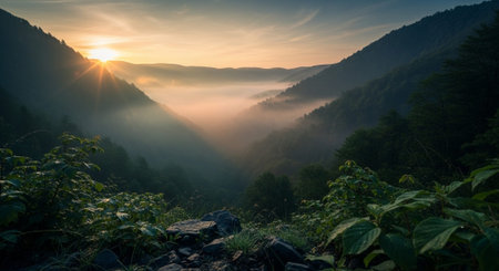 Atmospheric Mood and Emotional Concept Background Collection.