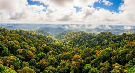 Global Natural Environment Landscapes and Scenic Nature Backgrounds.