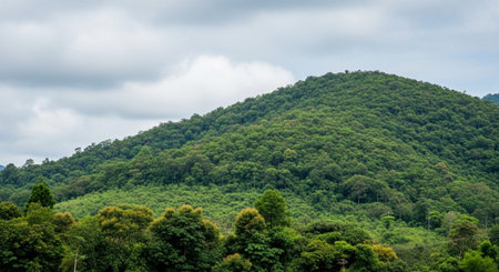 Global Natural Environment Landscapes and Scenic Nature Backgrounds.の写真素材