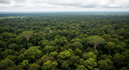 Global Natural Environment Landscapes and Scenic Nature Backgrounds.