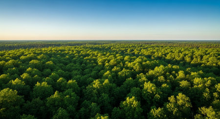 Global Natural Environment Landscapes and Scenic Nature Backgrounds.