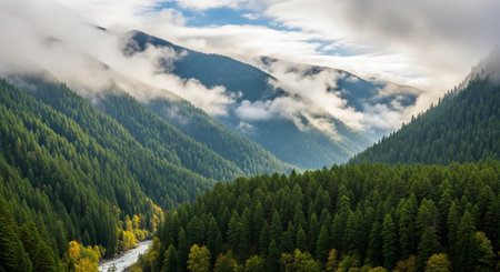 Global Natural Environment Landscapes and Scenic Nature Backgrounds.