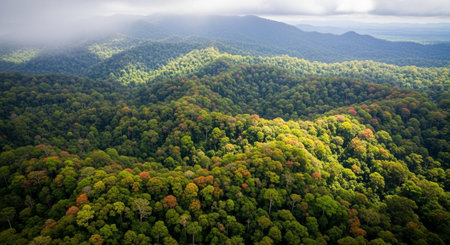 Global Natural Environment Landscapes and Scenic Nature Backgrounds.