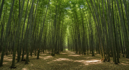 Global Natural Environment Landscapes and Scenic Nature Backgrounds.