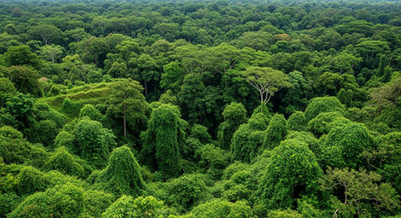 Global Natural Environment Landscapes and Scenic Nature Backgrounds.
