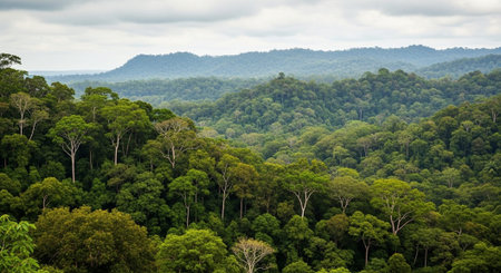 Global Natural Environment Landscapes and Scenic Nature Backgrounds.