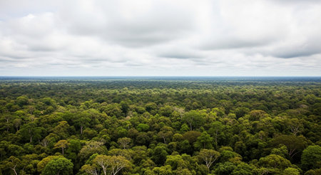 Global Natural Environment Landscapes and Scenic Nature Backgrounds.