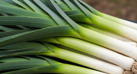Fresh Organic Vegetables and Healthy Food Background.